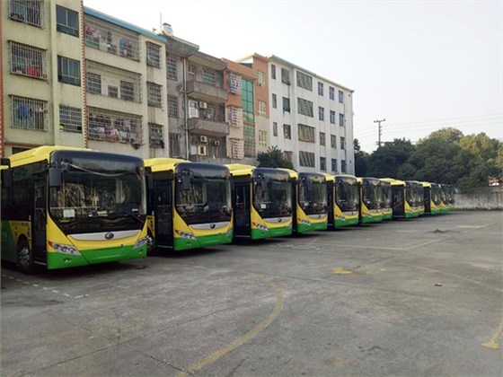 郴汽集團(tuán)嘉禾城鄉(xiāng)公交好司機(jī)，百萬存折尋失主