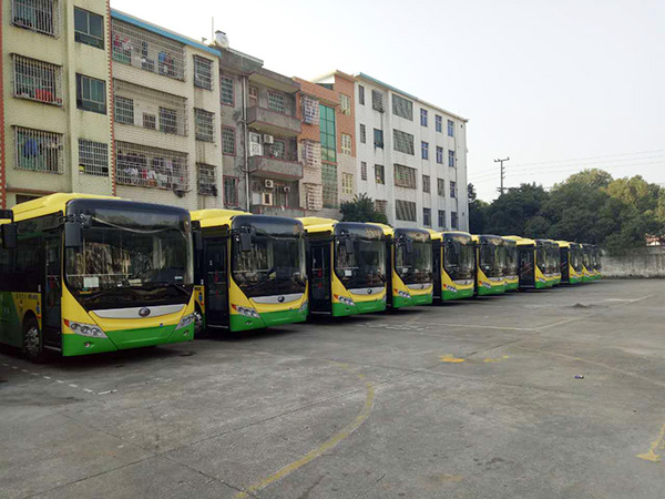 郴汽集團(tuán)嘉禾城鄉(xiāng)公交好司機(jī)，百萬存折尋失主